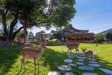 Huidong Regal Palace - 6