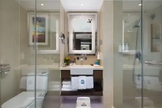 Novotel Nanjing Central - 33