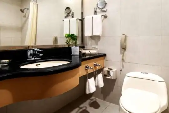 Sunshine Continental Grand - 17