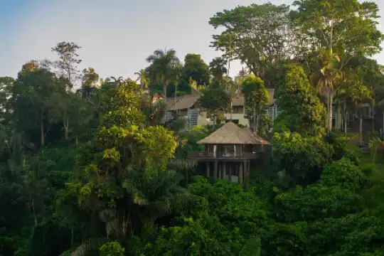 Alila Ubud - 24