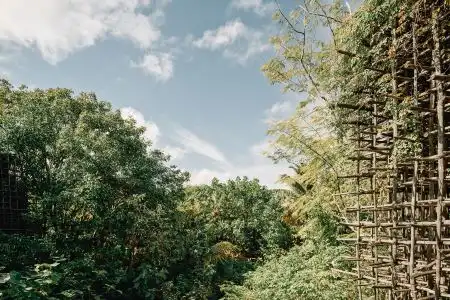 Nomade Tulum - 29