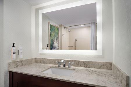 Embassy Suites by Hilton- Lake Buena Vista Resort - 74