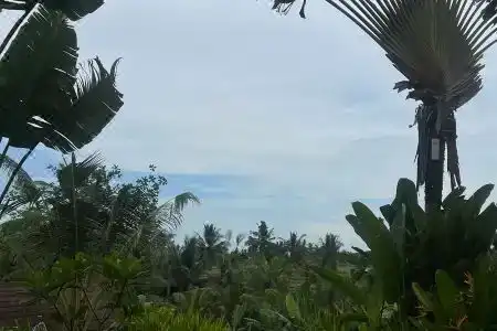 B Saya Villas - 67