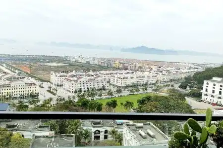 Halong Lavender - 2