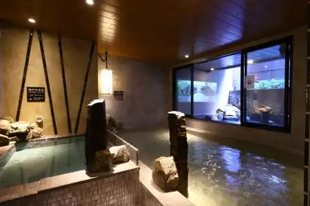 天然温泉 富士桜の湯 ドーミーイン御殿場 - 3