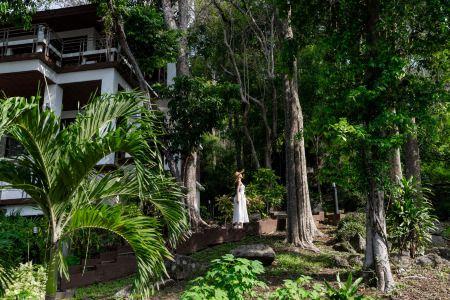 Baan Krating Phuket Resort -Sha Plus - 20