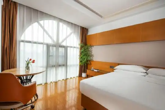Vienna International (Shenzhen Songgang Hongxing) - 23
