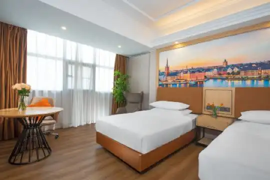 Vienna International (Shenzhen Songgang Hongxing) - 9