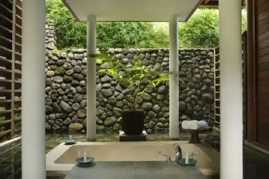 Alila Ubud - 17