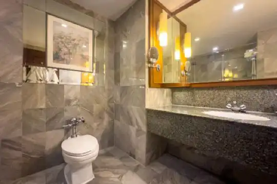 Rembrandt And Suites Sha Plus Certified - 29