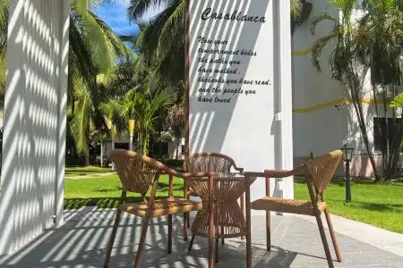 Bihai Jinsha - 6