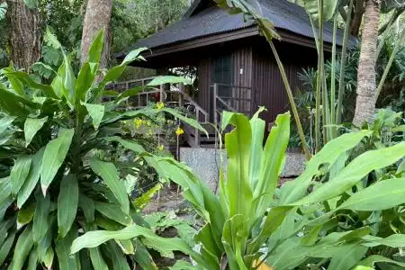 Baan Krating Phuket Resort -Sha Plus - 21