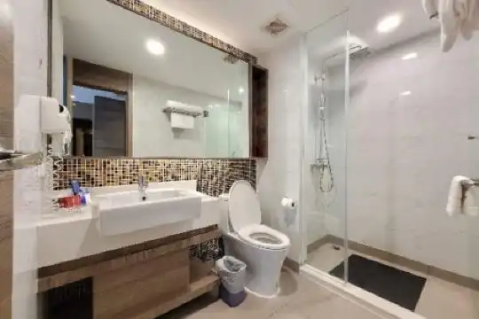 Citrus Sukhumvit 11 by Compass Hospitality - SHA Extra Plus - 151