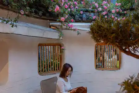 Yunjian Xishe - 8