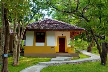 Amaya Lake Dambulla - 17