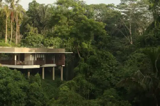 Alila Ubud - 69