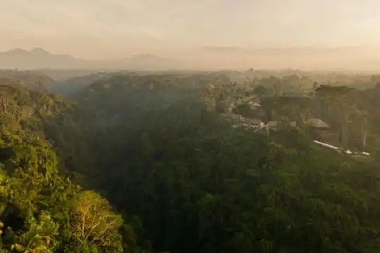 Alila Ubud - 61