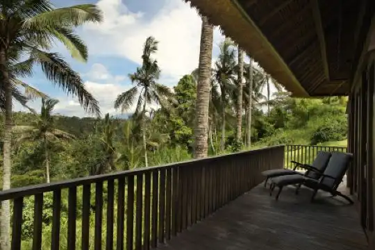 Alila Ubud - 14