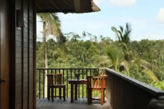 Alila Ubud - 15