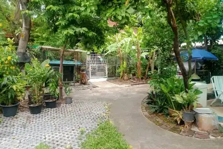 Young and Beautiful - 2