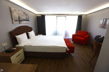 Zendy Suite - 50