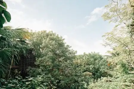 Nomade Tulum - 30