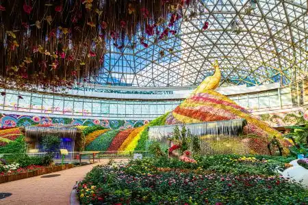 Howard Johnson Flower City Kunming - 7
