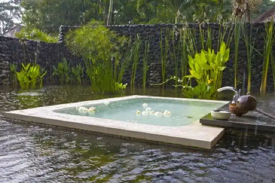 Alila Ubud - 29