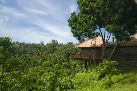 Alila Ubud - 11