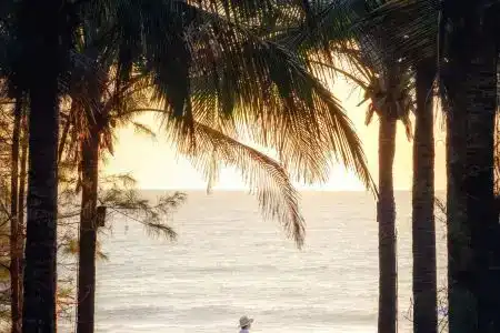 Sofitel Sanya Leeman Resort - 2