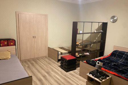guest house Artisha - 9