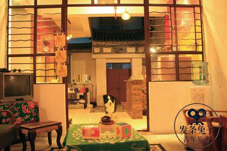Spring Rabbit Hostel - 9