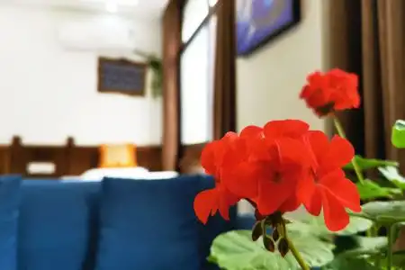 Zhangjiajie Xianglian Inn - 25