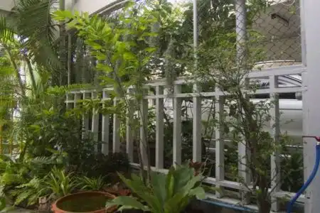 Bo-Yang Guesthouse - 2