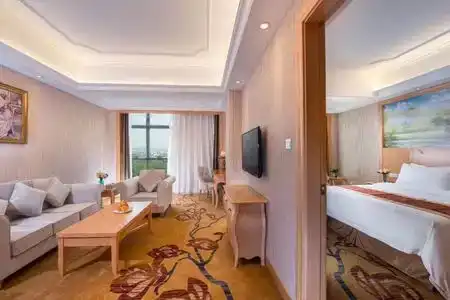 Vienna (Shenzhen Lilang Wanguocheng) - 4