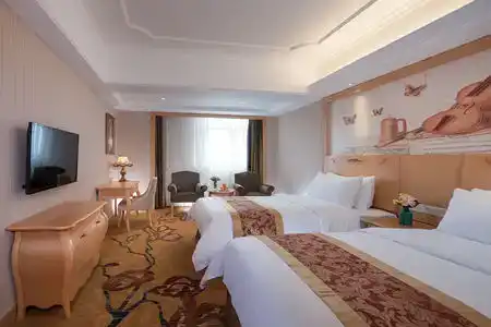 Vienna (Shenzhen Lilang Wanguocheng) - 38