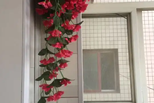 Xi'an Gelin - 39