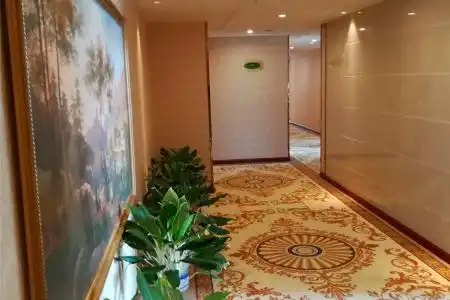 Vienna (Shenzhen Guanguang Road Foxconn) - 2