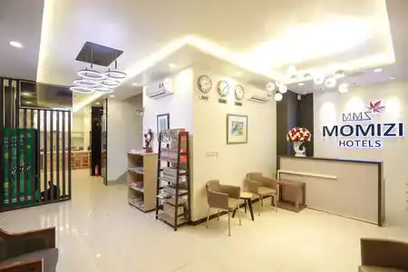 Momizi Business - 2