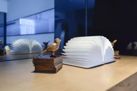 CityInn (Splendid China Branch) - 20