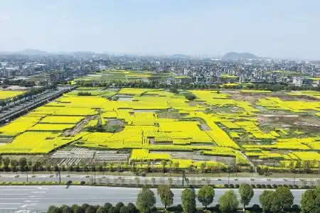 Wyndham HangZhou East - 10