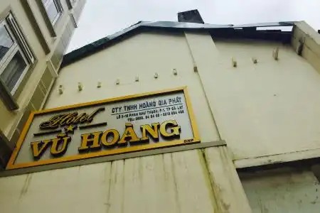 Hoàng Vy - 1