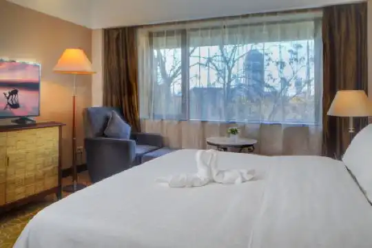 Yanyuan International - 58