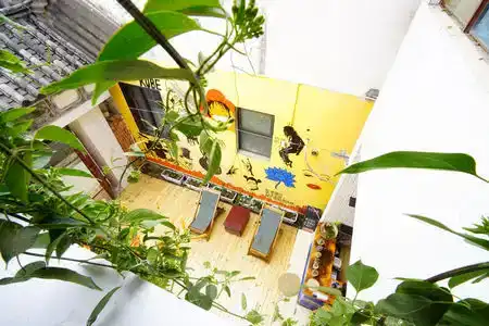 Spring Rabbit Hostel - 3