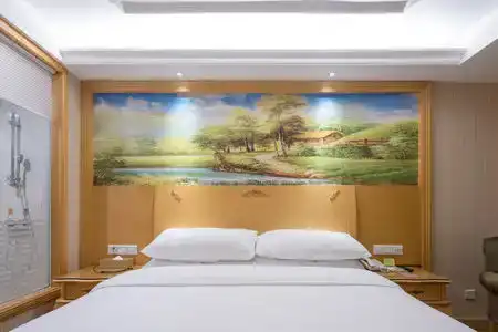 Vienna (Shenzhen Lilang Wanguocheng) - 20