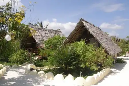 Natural Garden - 7