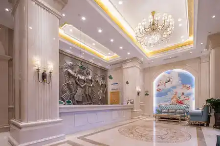 Vienna (Shenzhen Lilang Wanguocheng) - 8