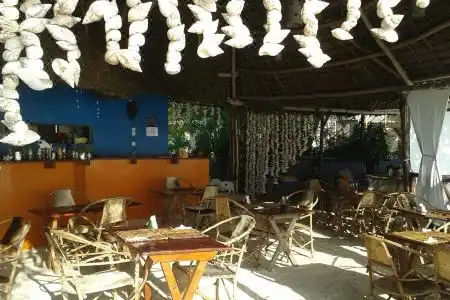 Natural Garden - 6
