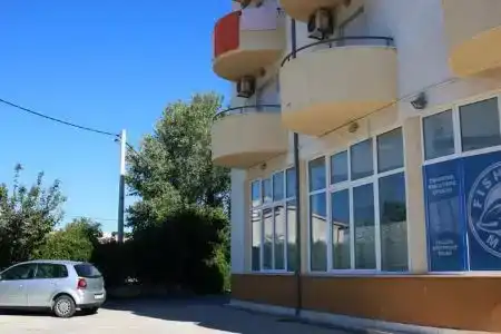 Ivo - 1