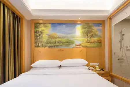 Vienna (Shenzhen Lilang Wanguocheng) - 13